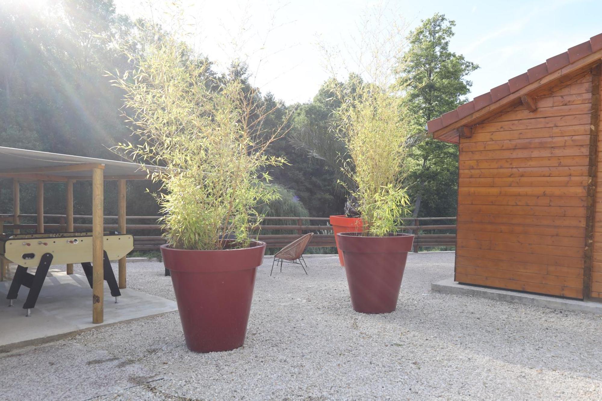 Les Chalets Du Marais Saint-Pierre-Aigle Bagian luar foto